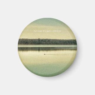 Magnet