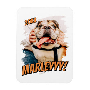  MAGNET