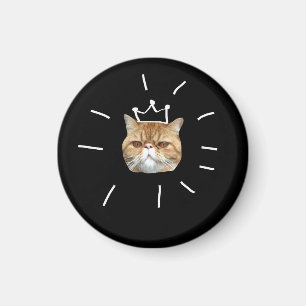 magnet