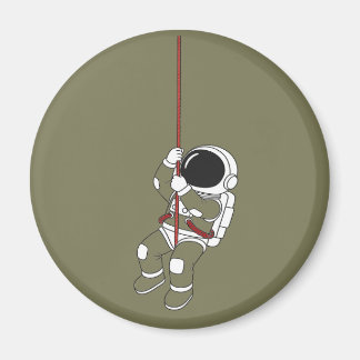 Magnet