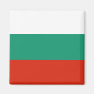 MAGNET