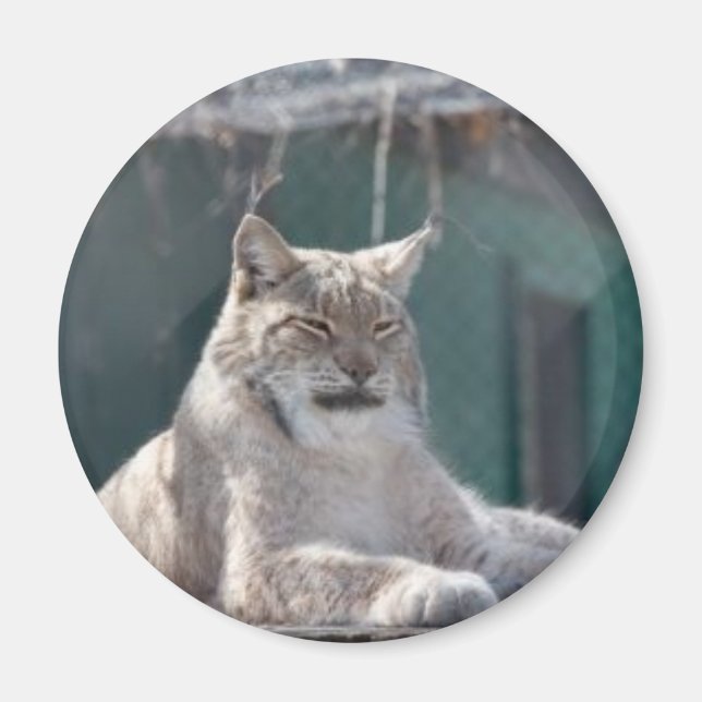 MAGNET 09 (Framsidan)