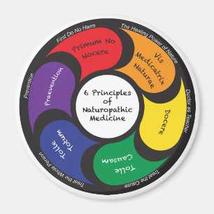 Magnet - 6 principer av naturmedelet