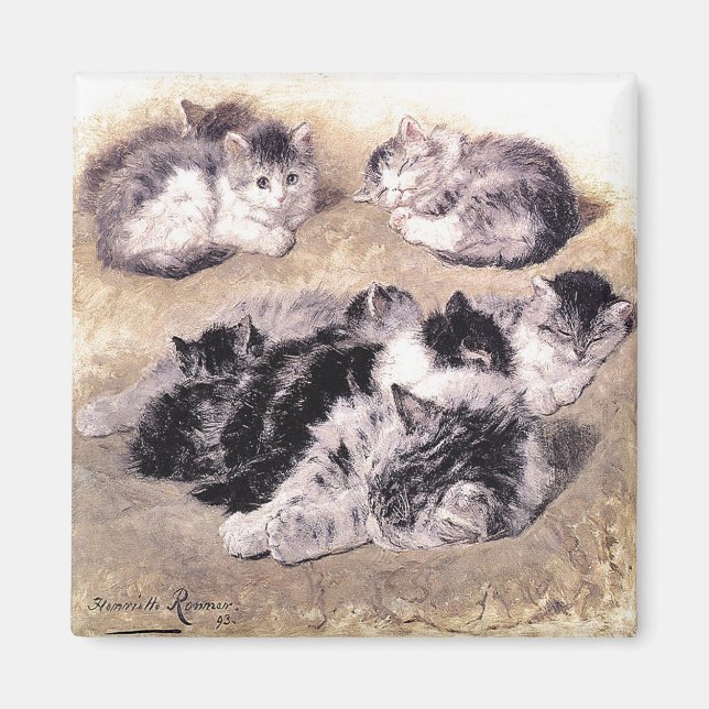 Magnet: A Study of Cats Magnet (Framsidan)