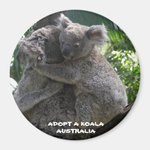 Magnet Adoptera en koala Australien ZIZZAGO