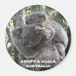 Magnet Adoptera en koala Australien ZIZZAGO