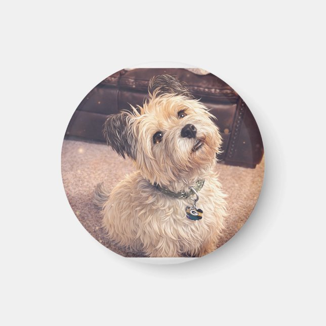 Magnet Adorable Terrier Puppy (Framsidan)