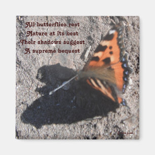 Magnet All Butterflies Rest Dikt by Ladee Basset
