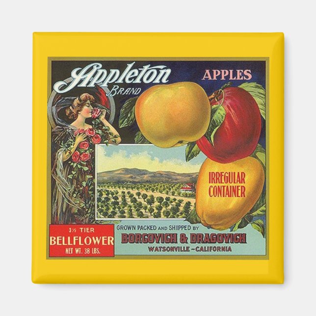 MAGNET ~ APPLETON BRAND APPLES VINTAGE FRUIT-ETIKE (Framsidan)