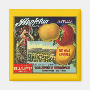 MAGNET~-APPLETON BRÄNNMÄRKER ETIKETTEN FÖR MAGNET