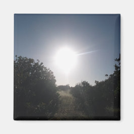 MAGNET ART&DESIGN-DEKORATION