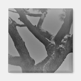 MAGNET ART&DESIGN DEKORATION STILAR