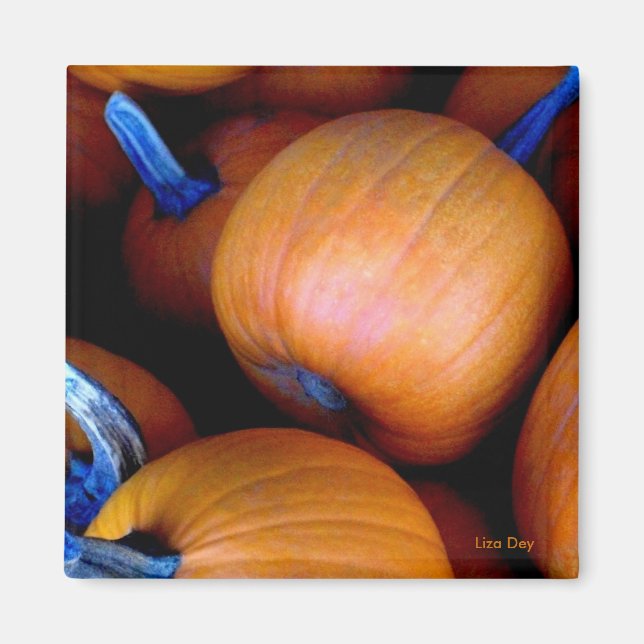 Magnet "Autumn Pumpkins" (Framsidan)