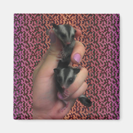 Magnet baby Sugar Glider Magnet