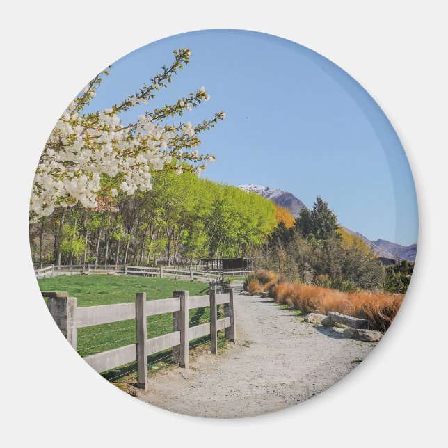 Magnet - backdrop of Walter's peak (Framsidan)