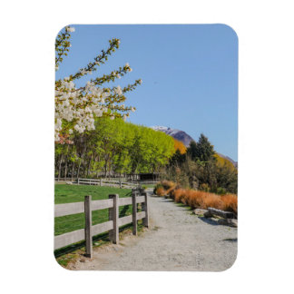 Magnet - bakgrund av Walter's peak