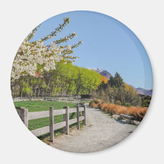 Magnet - bakgrund av Walter's peak