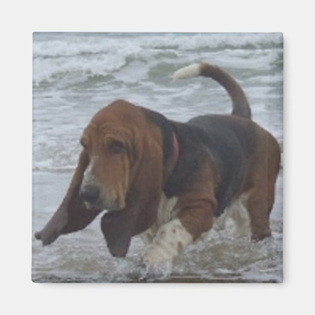 Magnet Basset Hound by Sea (Framsidan)