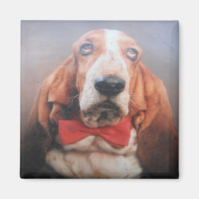 Magnet Basset Hound Röd Flaska (Framsidan)
