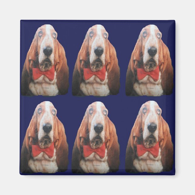 Magnet Basset Hounds (Framsidan)