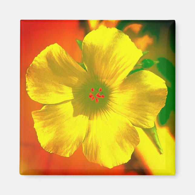 Magnet BLOMMA STIL OCH DESIGN DEKORATION (Framsidan)