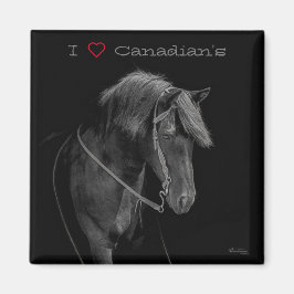 Magnet Canadian Horse