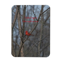 Magnet Cardinals visas när änglar är nära..