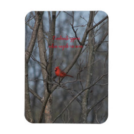 Magnet Cardinals visas när änglar är nära..