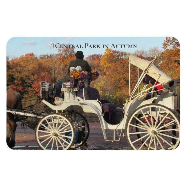 Magnet - Carriage in NYC Central Park (Horisontell)