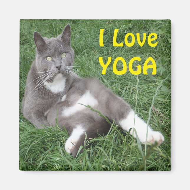 Magnet Cat I Kärlek Yoga (Framsidan)