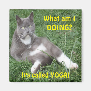 Magnet Cat Yoga