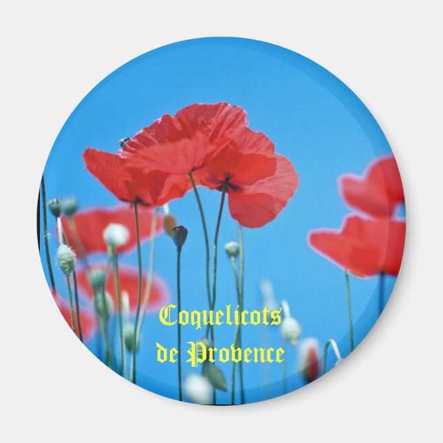 Magnet coquelicot (Framsidan)