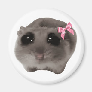 Magnet Coquette Ledsen Hamster Meme