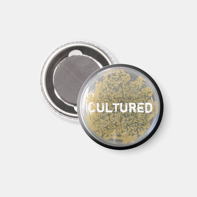 Magnet "Cultured" Bacteria Culture Plate Magnet (Front/Back)