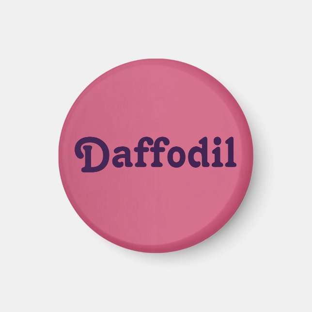 Magnet Daffodil (Framsidan)