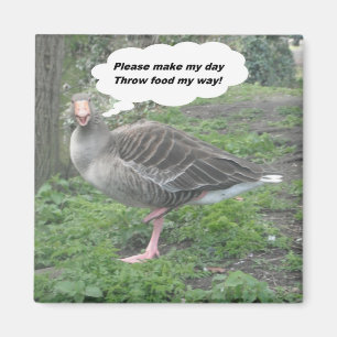 Magnet Dikt Anka Quote Ladee Basset