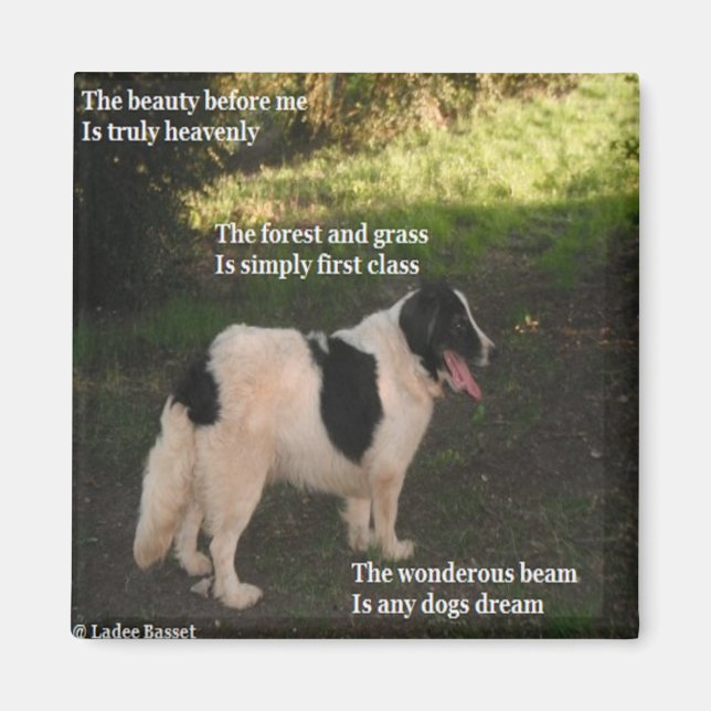 Magnet Dikt Any Hundar Dream Ladee Basset (Framsidan)