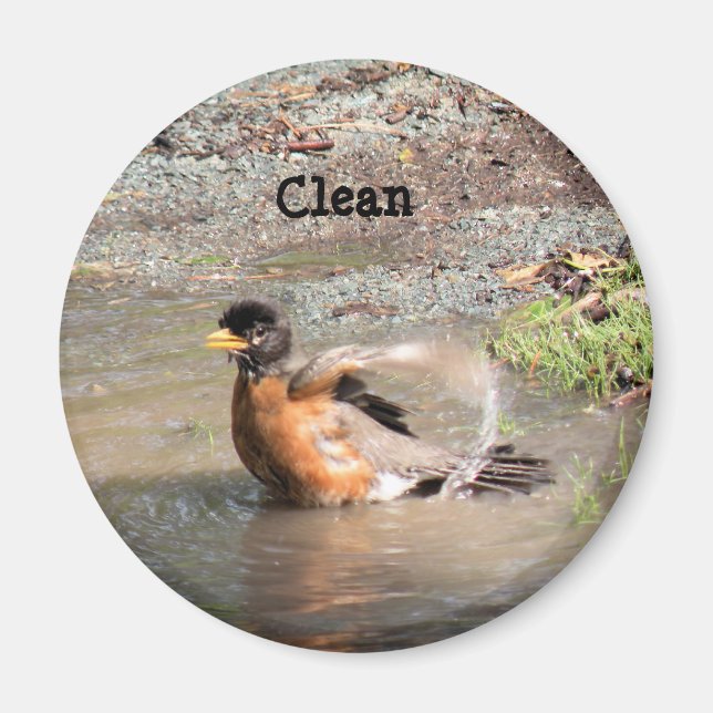 Magnet, Dishwasher, Clean Robin Magnet (Framsidan)