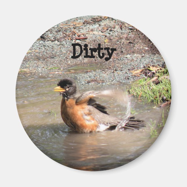 Magnet, Dishwasher, Robin som tar en Bath, Dirty Magnet (Framsidan)