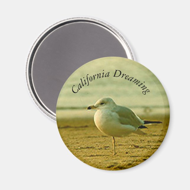 Magnet - Drömmande mås (Front/Back)