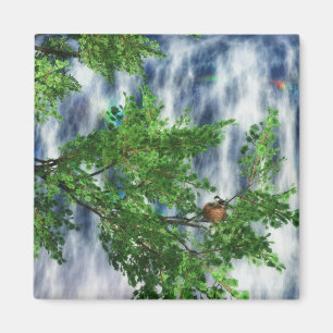 Magnet Falls Falls