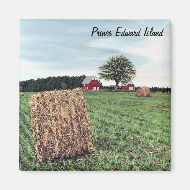 Magnet Farming Hale Bales Square (Framsidan)