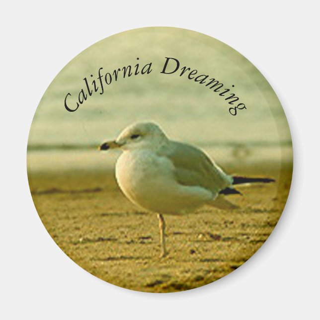 Magnet - Fiskmås Dreaming (Framsidan)