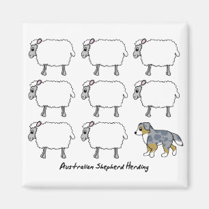 Magnet för australian shepherdsamlarefår