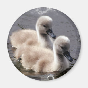 Magnet för babysvanrunda