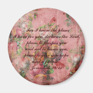 Magnet för bibelJeremiah 29:11