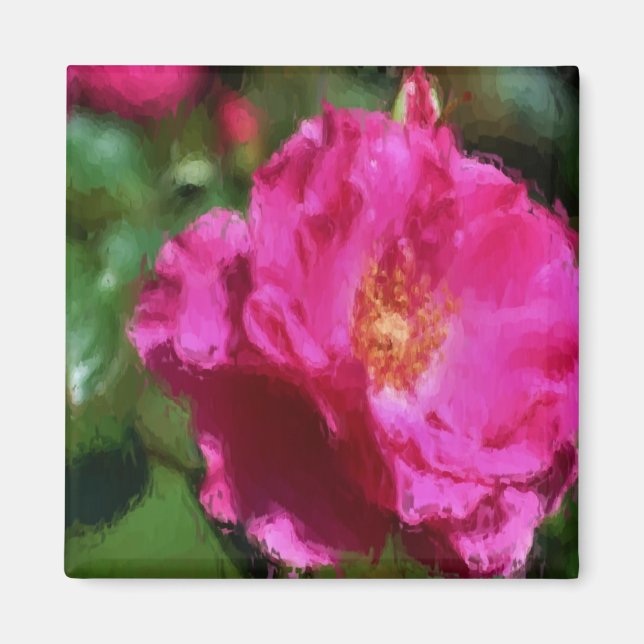 Magnet för blomma för rosa roskritateckning (Framsidan)