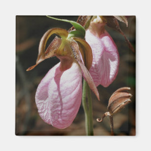 Magnet för blomsterfotografi för tofflor för rosa
