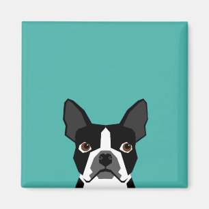 Magnet för Boston Terrierhund