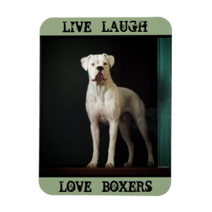 Magnet för boxarehundkylskåp